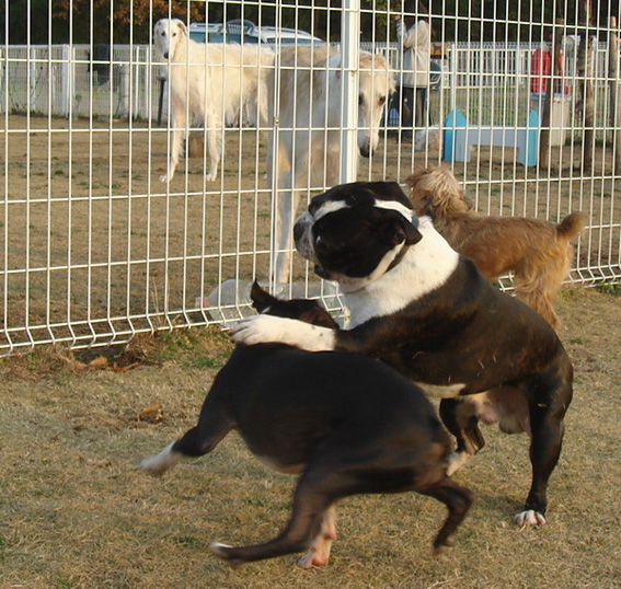 c0094999_0555414.jpg