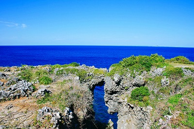 d0137903_11253377.jpg