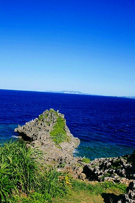 d0137903_11284091.jpg