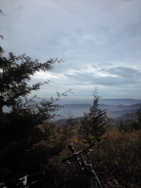 f0105504_18342597.jpg