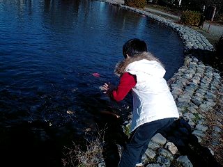 c0087305_914542.jpg