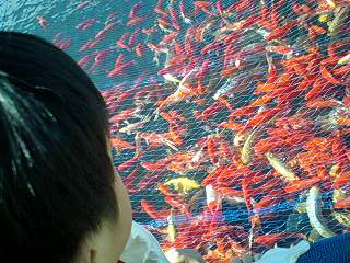 c0087305_915932.jpg