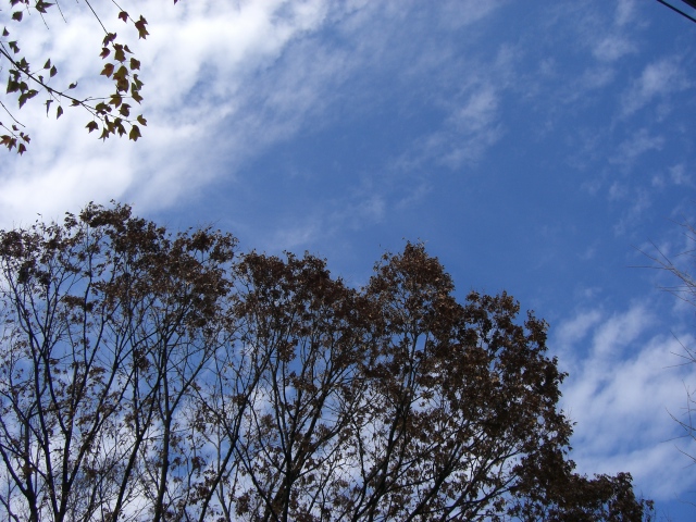 f0173605_1244166.jpg