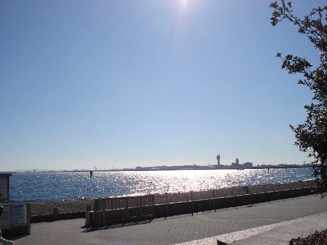 b0148106_7472519.jpg