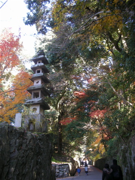 c0145209_145682.jpg