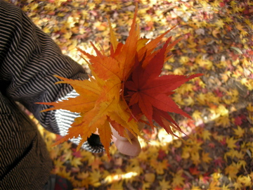 c0145209_157514.jpg