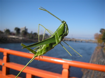 c0145209_2215381.jpg