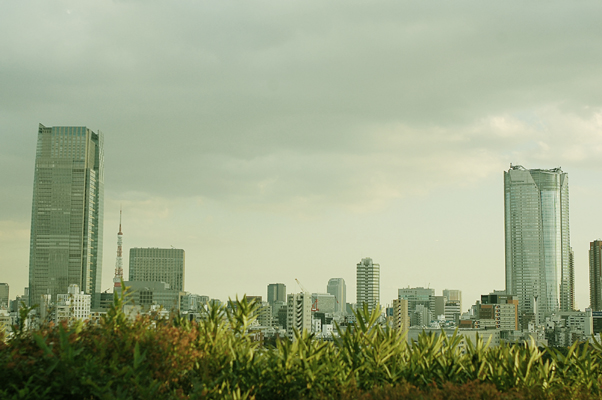 b0150811_0242480.jpg