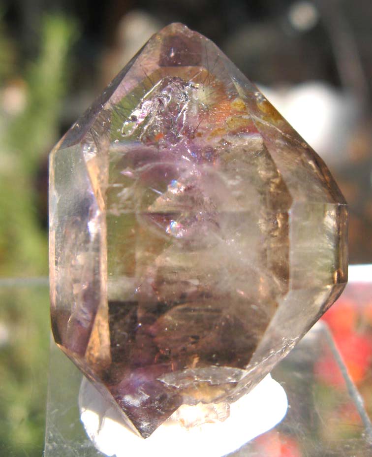 e0139012_181536.jpg