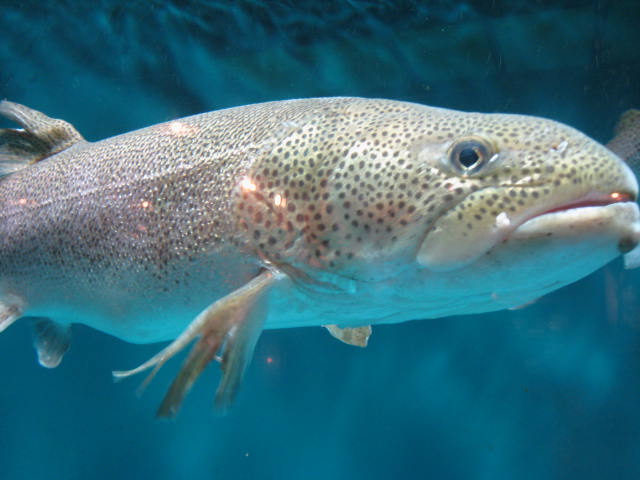 c0122519_1815946.jpg
