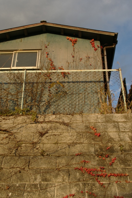 c0140723_23111566.jpg