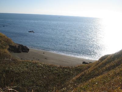 f0107724_1033426.jpg