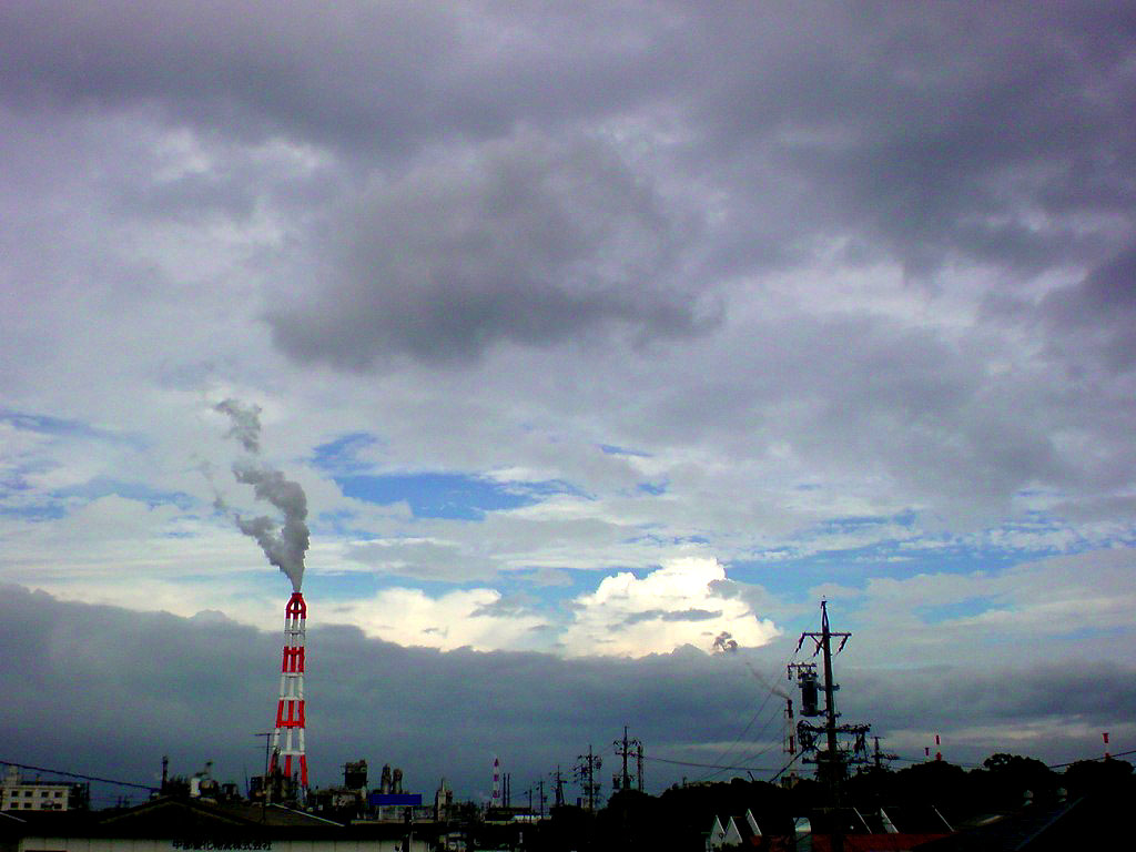f0192226_2145859.jpg