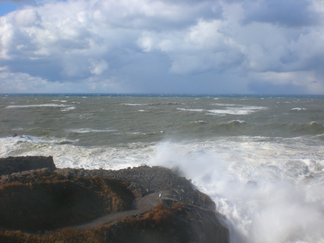 b0116327_20333742.jpg