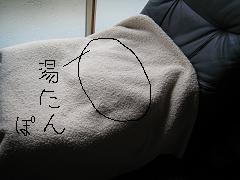 b0155830_1835460.jpg
