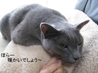 b0155830_1861955.jpg