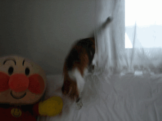 c0136736_20571730.gif