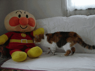 c0136736_2104100.gif