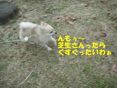 c0179136_3303339.jpg