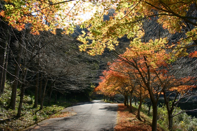 e0083238_20531729.jpg