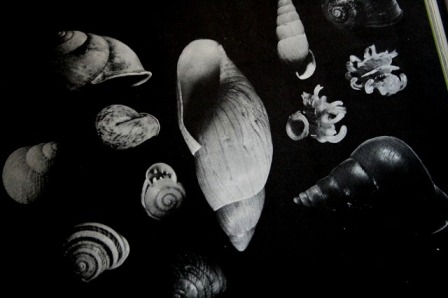 d0141239_3214160.jpg