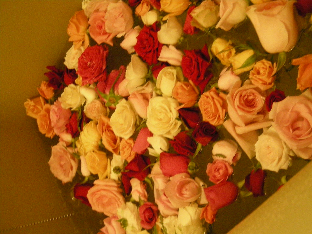 e0080143_9293766.jpg