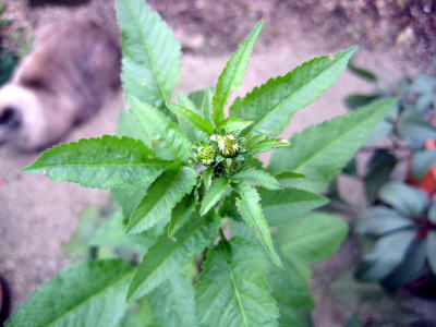 c0147952_21115670.jpg