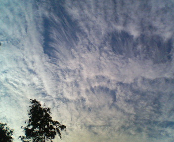 d0124952_14563327.jpg