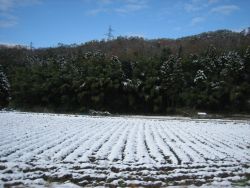 f0150265_10372615.jpg