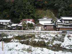 f0150265_10373848.jpg