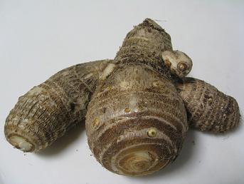f0146466_1725963.jpg