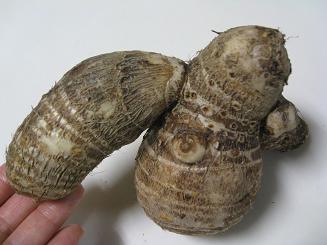 f0146466_17273946.jpg