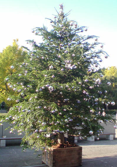 e0153367_10563897.jpg