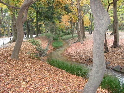 e0041168_1025316.jpg