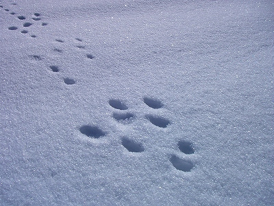 f0182173_1430184.jpg