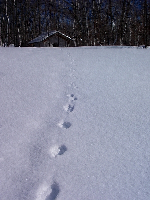 f0182173_14303215.jpg