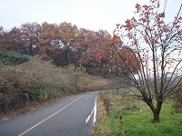 b0004675_20512795.jpg