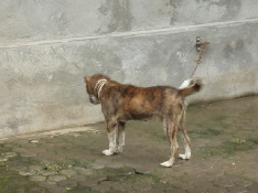 b0092475_2050824.jpg