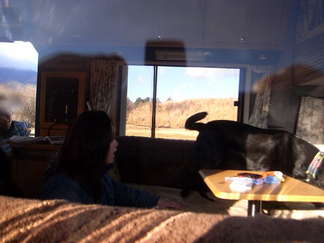 a0093592_037227.jpg