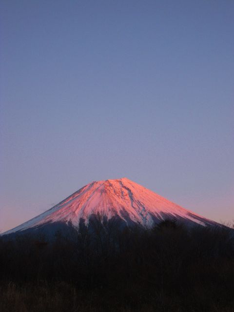 a0093592_041999.jpg