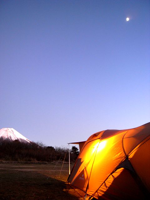 a0093592_1152077.jpg
