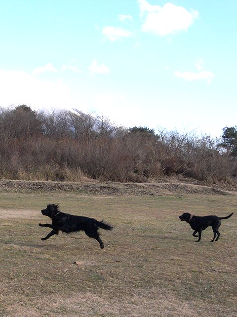 a0093592_147064.jpg