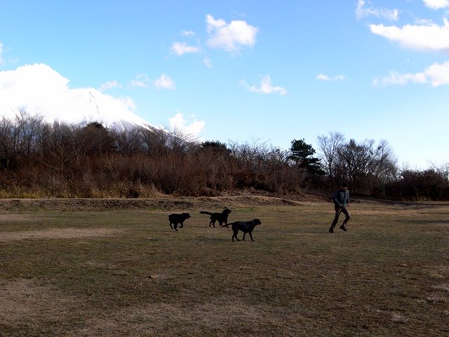 a0093592_1475238.jpg