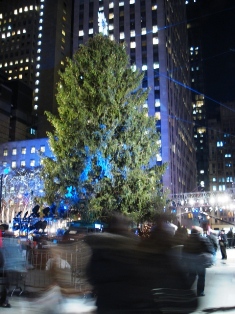 e0161692_095236.jpg