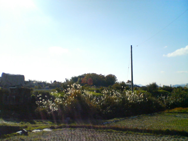 f0077595_10191390.jpg
