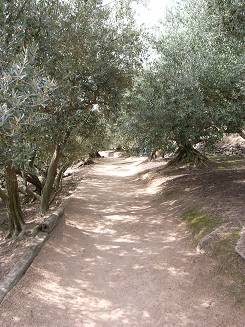 e0088000_1223213.jpg