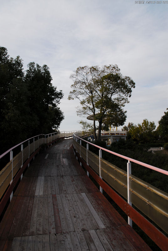 d0085501_8135210.jpg