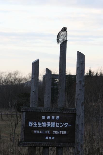 c0155902_23304210.jpg