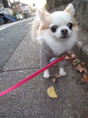 a0079803_2259355.jpg
