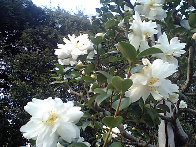 d0054704_0222320.jpg